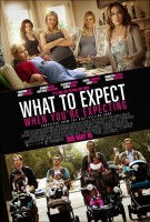 What to Expect When You Are Expecting Movie Poster