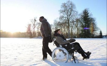 The Intouchables Movie