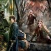 The Hobbit; The Battle of Five Armies Movie