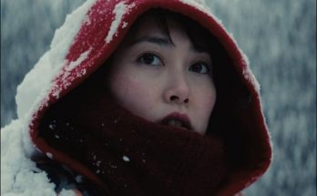 Kumiko: The Treasure Hunter