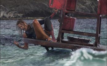 The Shallows Movie