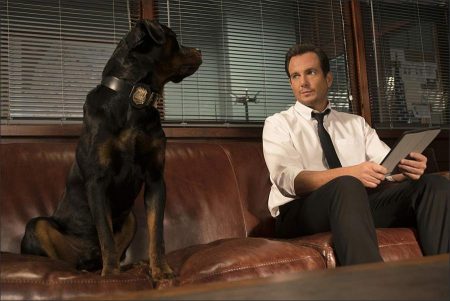 Show Dogs (2018)