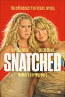 Snatched Movie Poster (2017)