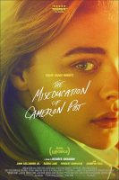 The Miseducation of Cameron Post Movie Poster (2018)