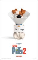 The Secret Life of Pets 2 Movie Poster (2019)