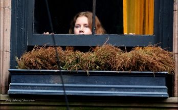 The Woman in the Window (2020) - Amy Adams