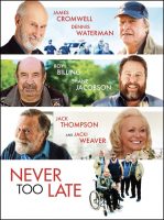 Never too Late Movie Poster (2020)
