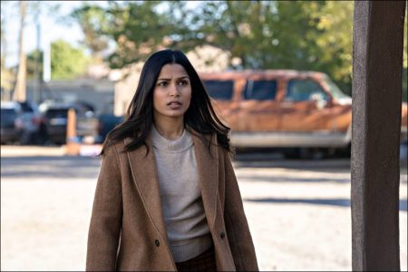 Intrusion (2021) - Freida Pinto