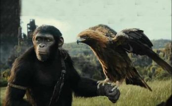 Kingdom of the Planet of the Apes (2024)