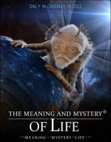 The Meaning and Mystery of Life Movie Poster (2023)